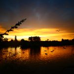 探索yy6080新视觉电影院青苹果伦理的多元视角 v3yhwd0du