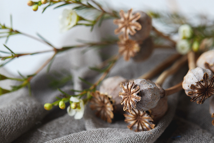 探索同人工口本子网站的多样化内容与特色 探索同人工口本子网站的多样化内容与特色