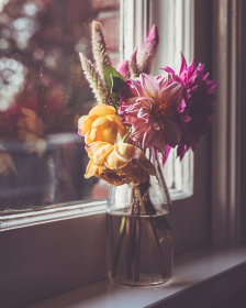 手机BT下载器推荐：轻松下载海量资源的最佳选择