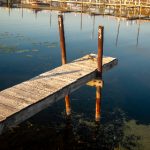 探索叽哩叽哩游戏网ACG世界的奇妙旅程 xug0uzb